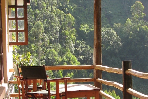 Family Cottage, Multiple Beds, River View (2) | Terrace/patio