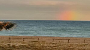 Una playa con una cerca y una palmera.