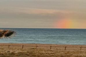 A beach with a fence and a palm tree. - Apartment in Le Barcarès with Sea View (Le Barcares)