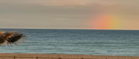 Uma praia com uma cerca e uma palmeira.