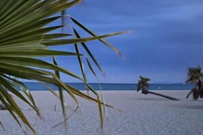 A beach scene with palm trees and a clear sky. - Seaside Escape with Pool (Le Barcares)