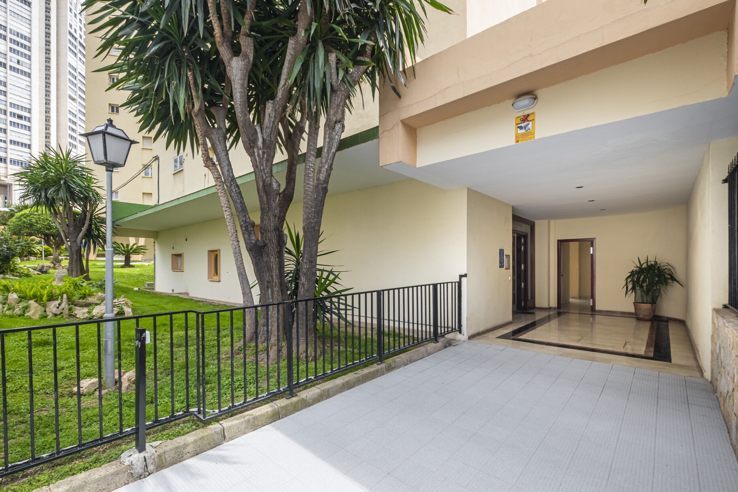 A modern building with a flat roof, a paved entrance area, and a small garden with palm trees.