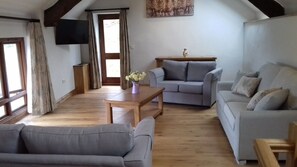 Smart TV, fireplace, books