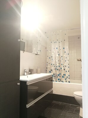 Apartment | Bathroom | Shower, rainfall showerhead, free toiletries, hair dryer