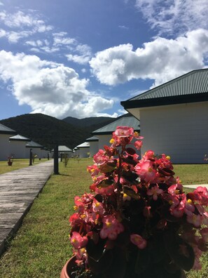 花園