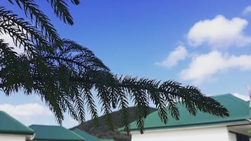 Vườn