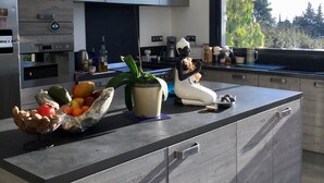 A modern kitchen with a large island, stainless steel appliances, and a view of the outdoors. - Superb contemporary villa with private pool (Saint-Rémy-de-Provence)
