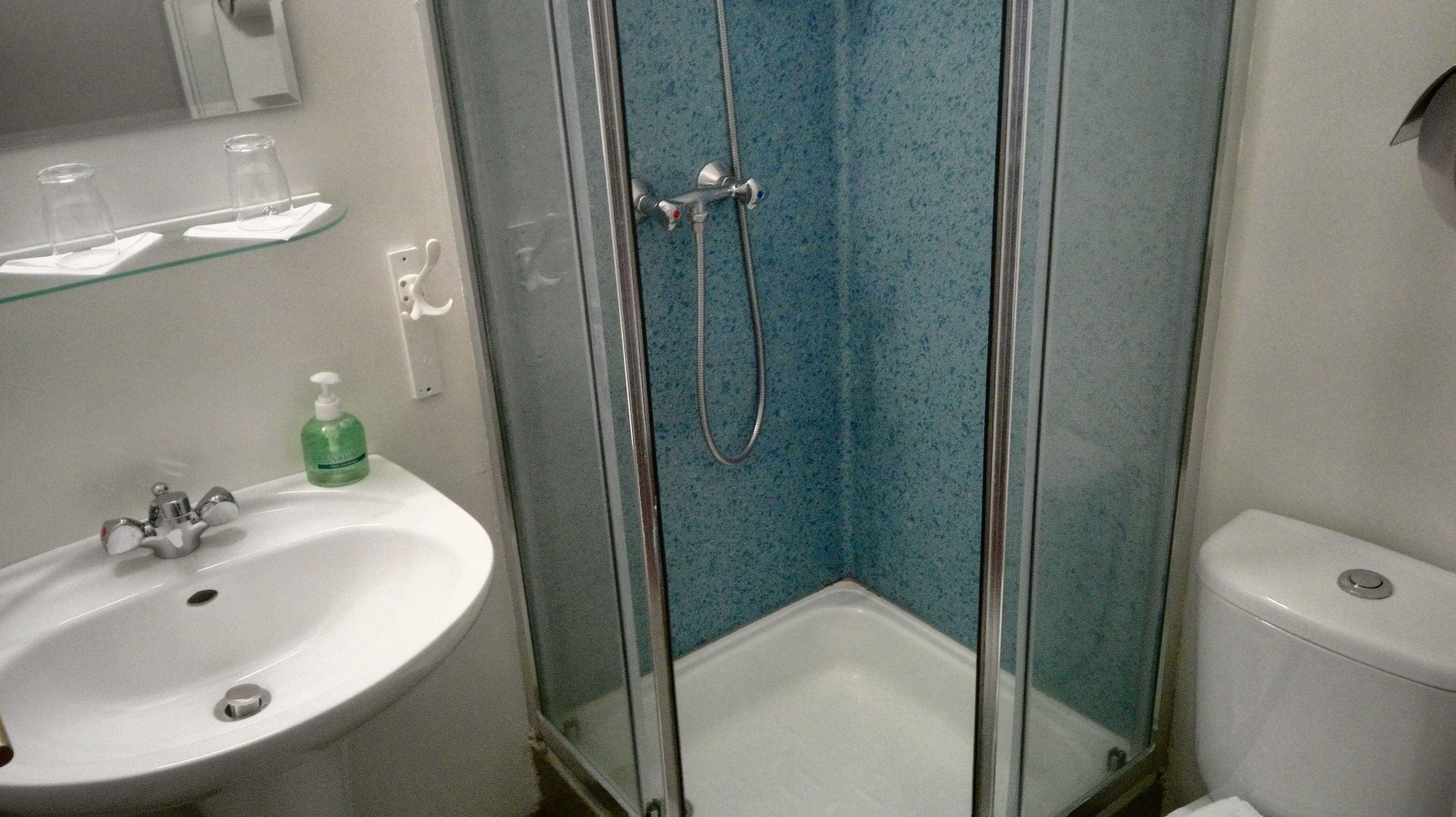 Ein Badezimmer mit einer Duschkabine, einem weißen Waschbecken und einer Toilette.