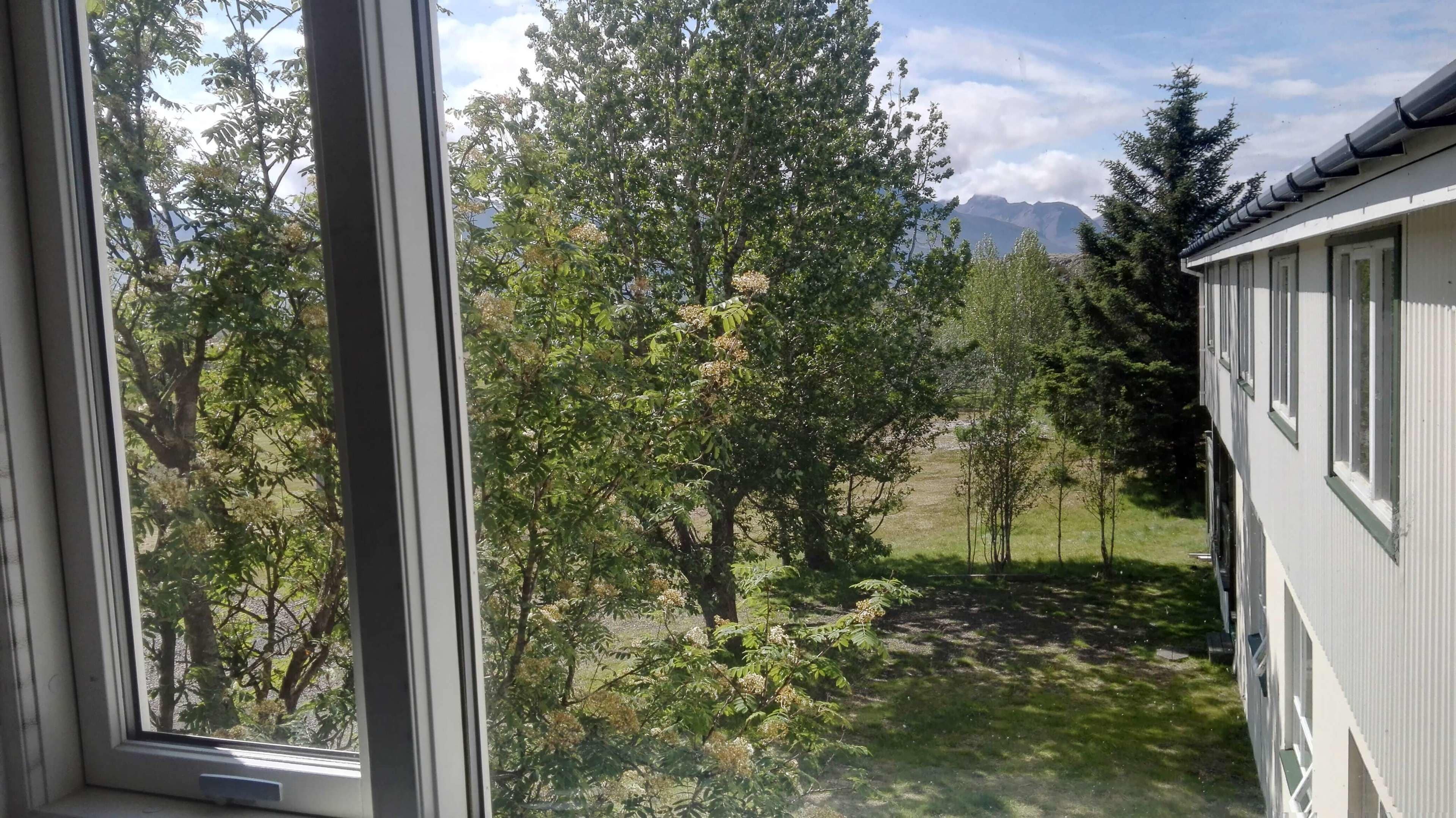 family quadruple room, private bathroom | view from room