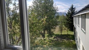 A view from a window overlooking a grassy area with trees and a mountain in the background.
