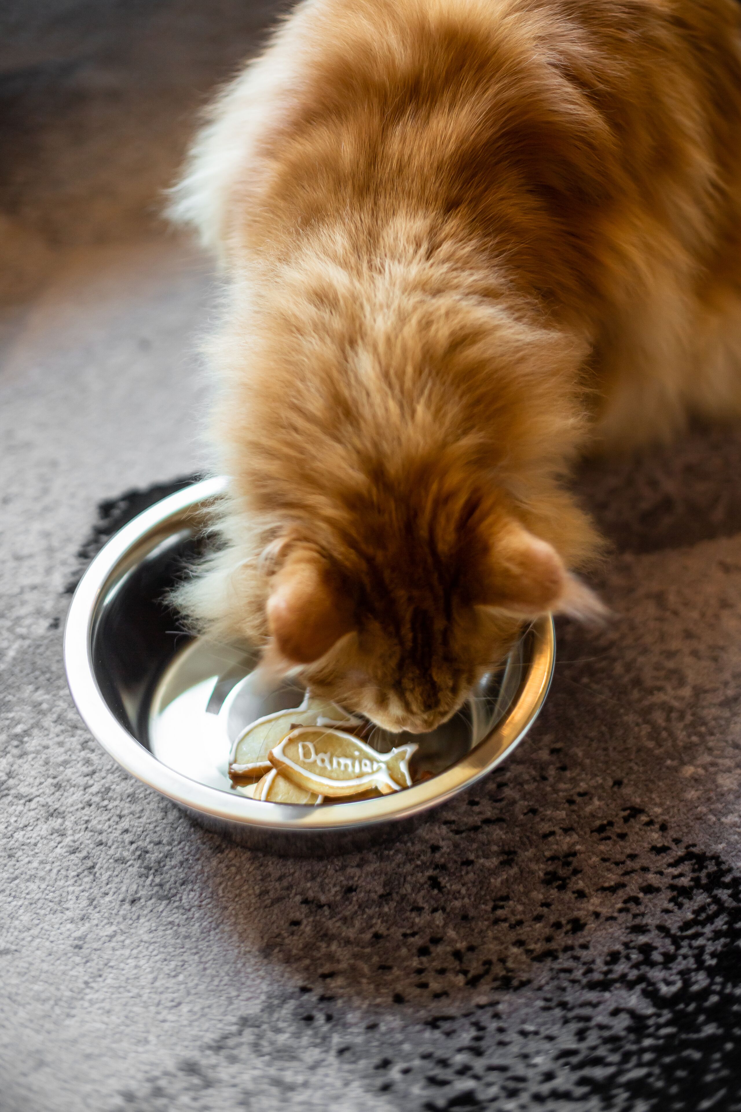A cat drinking from a stainless steel bowl on a textured floor.