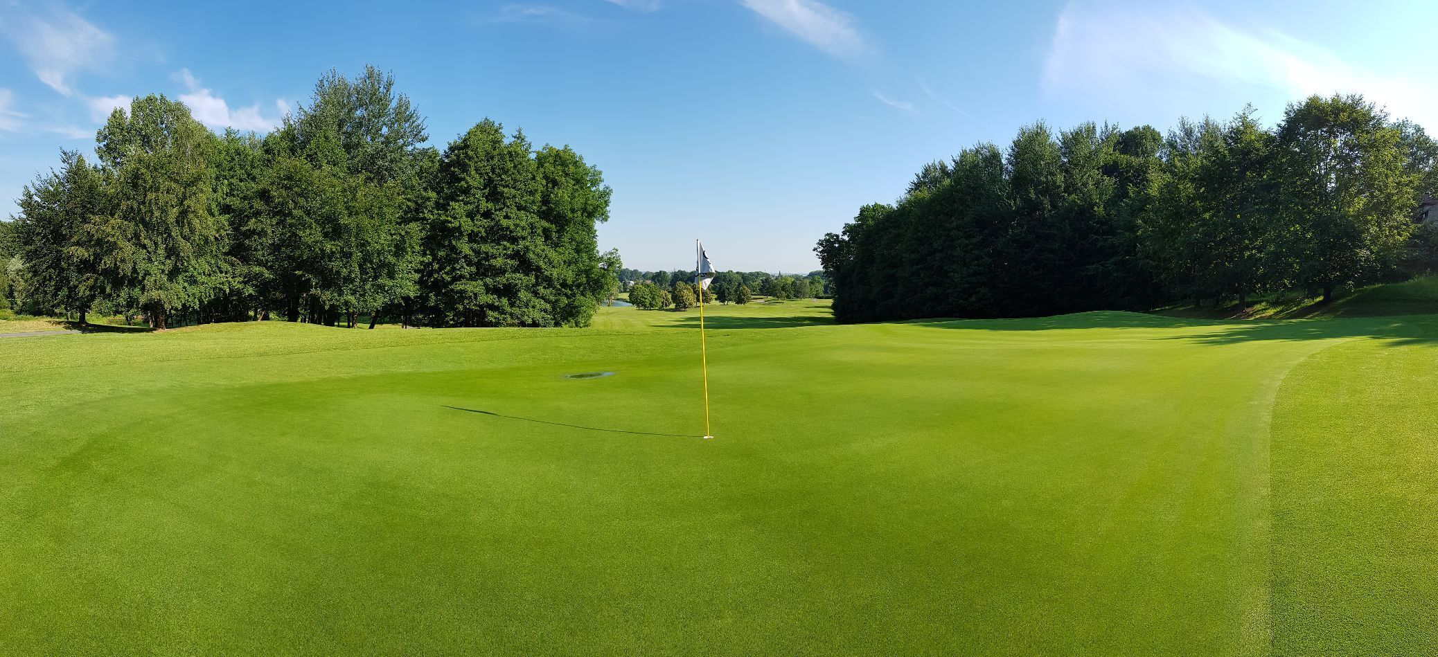 A golf course with a flagstick, surrounded by trees and a clear sky.