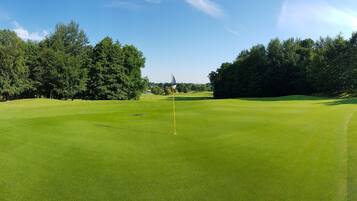 A golf course with a flagstick, surrounded by trees and a clear sky.