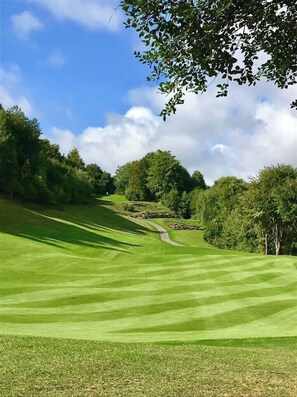A golf course with a well-maintained green, a winding path, and dense trees in the background. - Le Domaine des Vanneaux Golf & Spa L'Isle Adam - MGallery Collection (Presles)