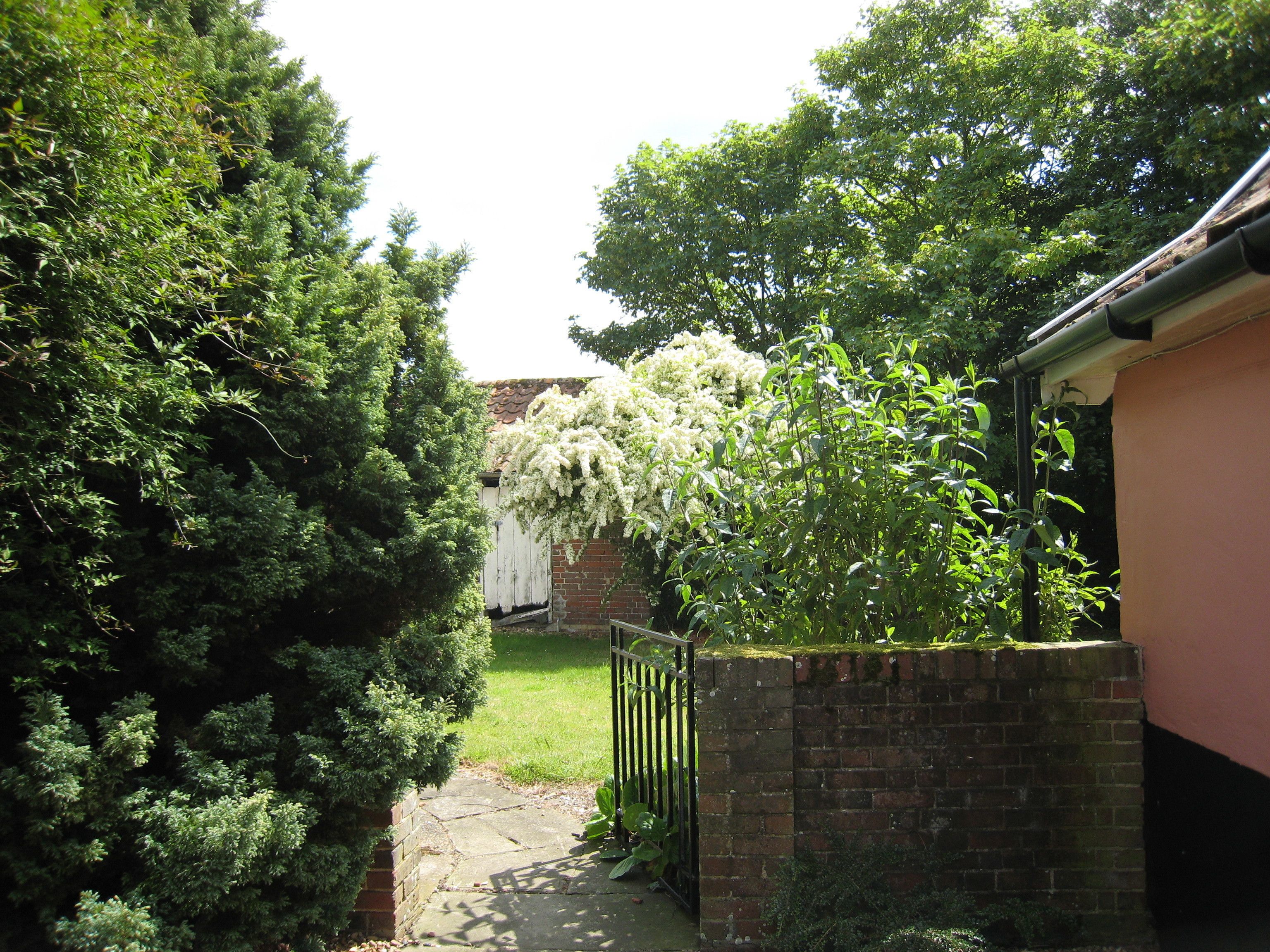 A narrow pathway leading to a brick wall with a white fence and a tree with white flowers.