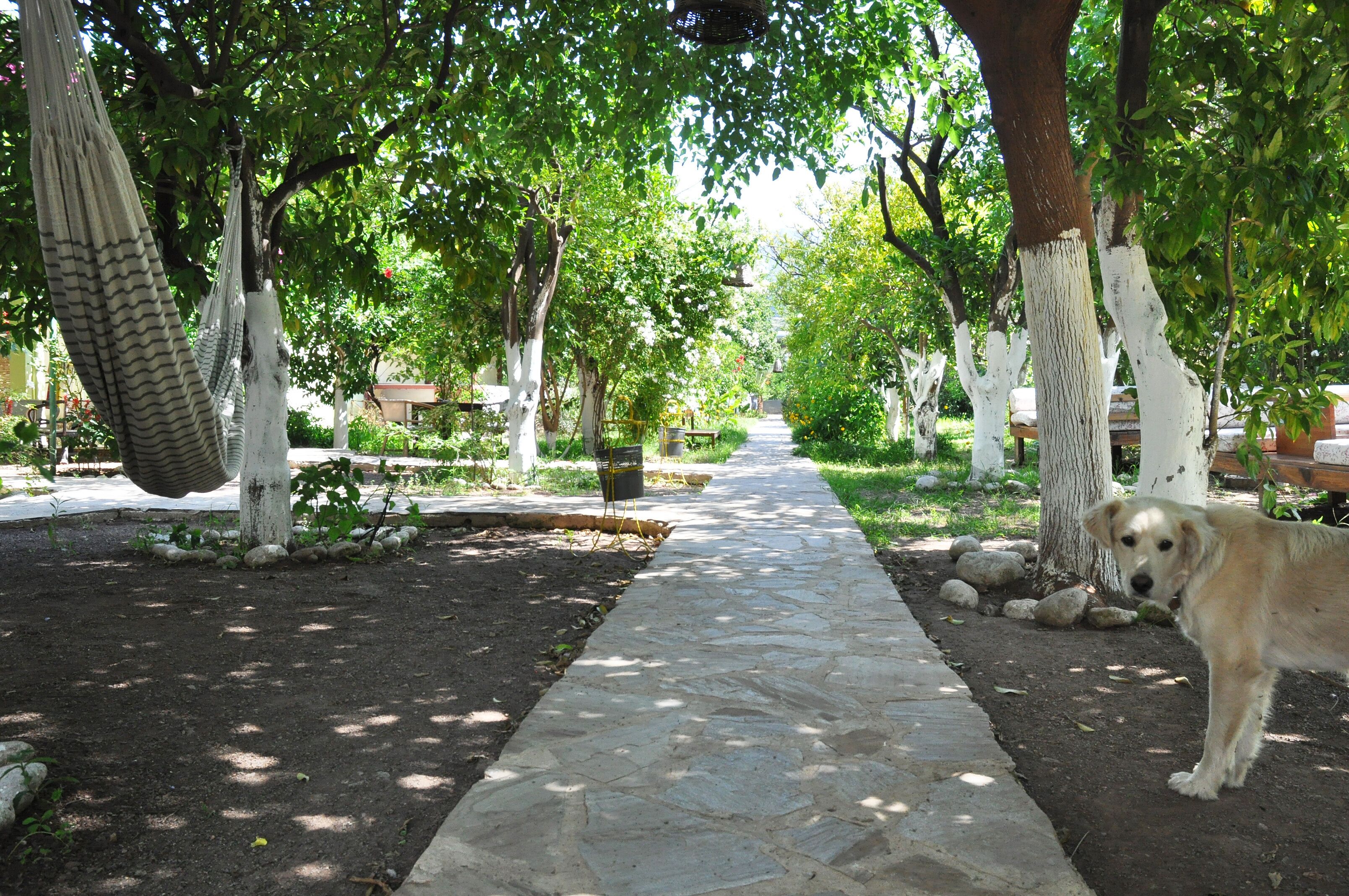 Jardín