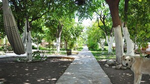 A stone pathway flanked by trees with white-painted trunks, a hammock, and a dog. - San Simon Hotel (Kemer)