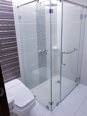 Shower, hair dryer, bidet, towels