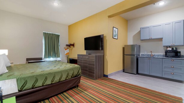 Habitación de hotel con cama, televisor, escritorio, armario y zona de cocina con alacenas y refrigerador.