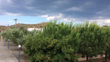 Jardim