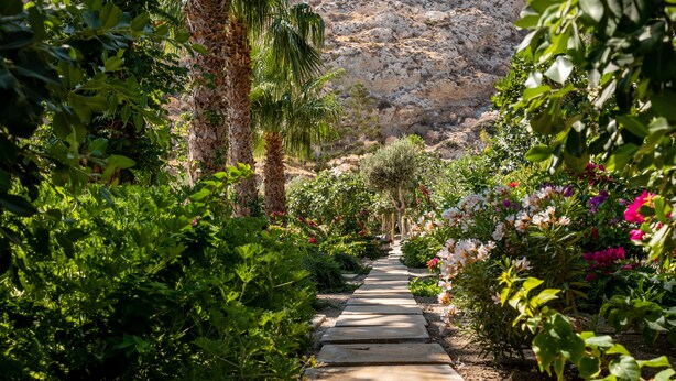 Ein gepflasterter Weg führt durch einen Garten mit verschiedenen Pflanzen und Blumen.