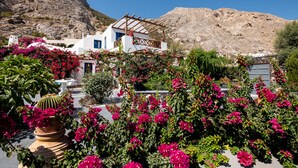 Ein weißes Gebäude mit einer Holz-Pergola, umgeben von leuchtend blühender Bougainvillea und einem Kaktus im Topf.