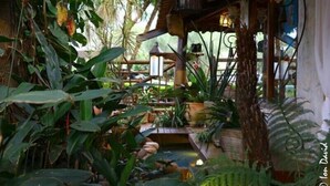 A lush indoor garden with a variety of plants and a small water feature. - Pousada Bambu Brasil (Alto Paraíso de Goiás)