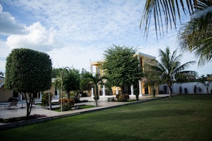 Chambre Junior, 1 très grand lit, non-fumeurs, vue jardin | Vue sur le jardin