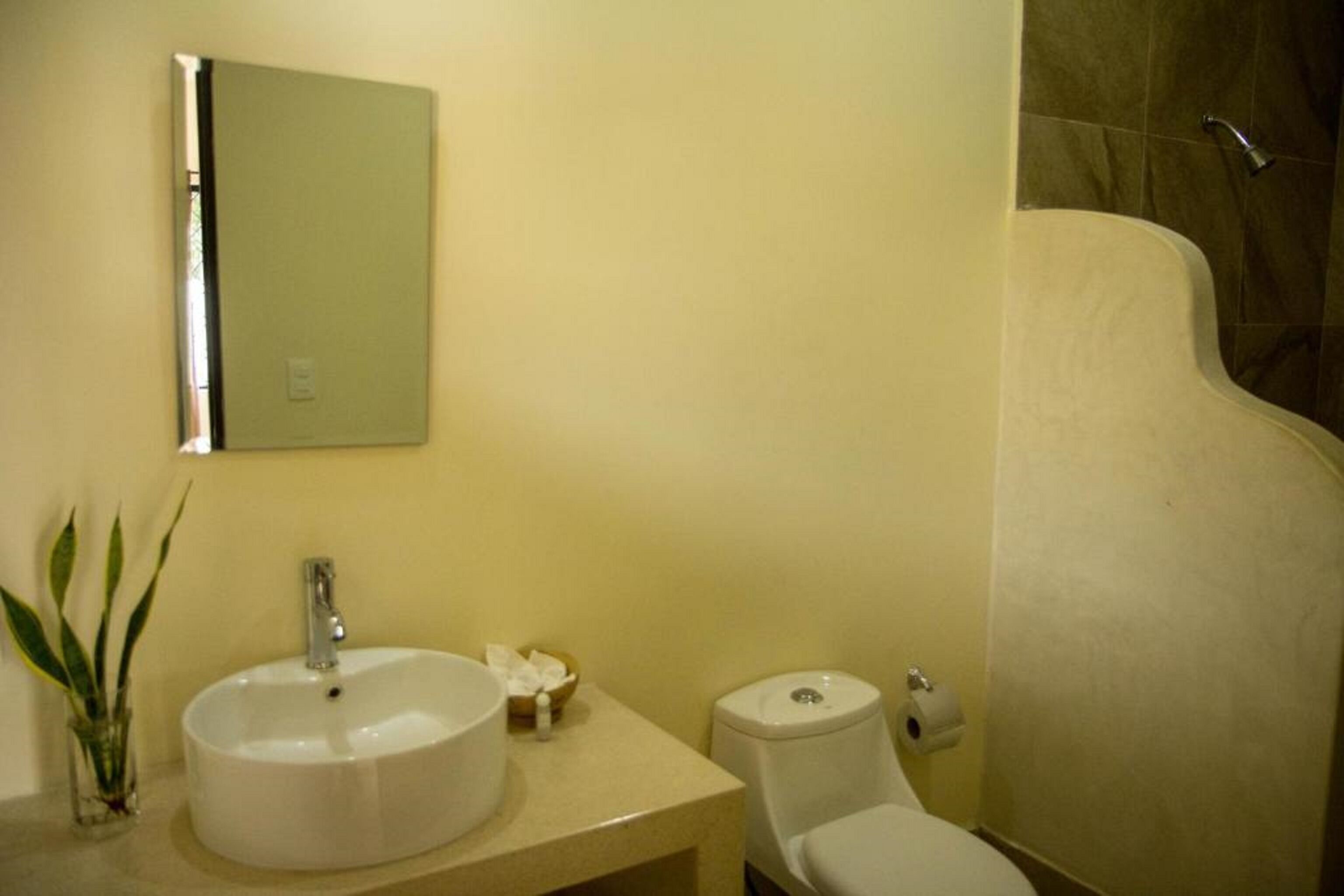 shower, rainfall showerhead, free toiletries, hair dryer