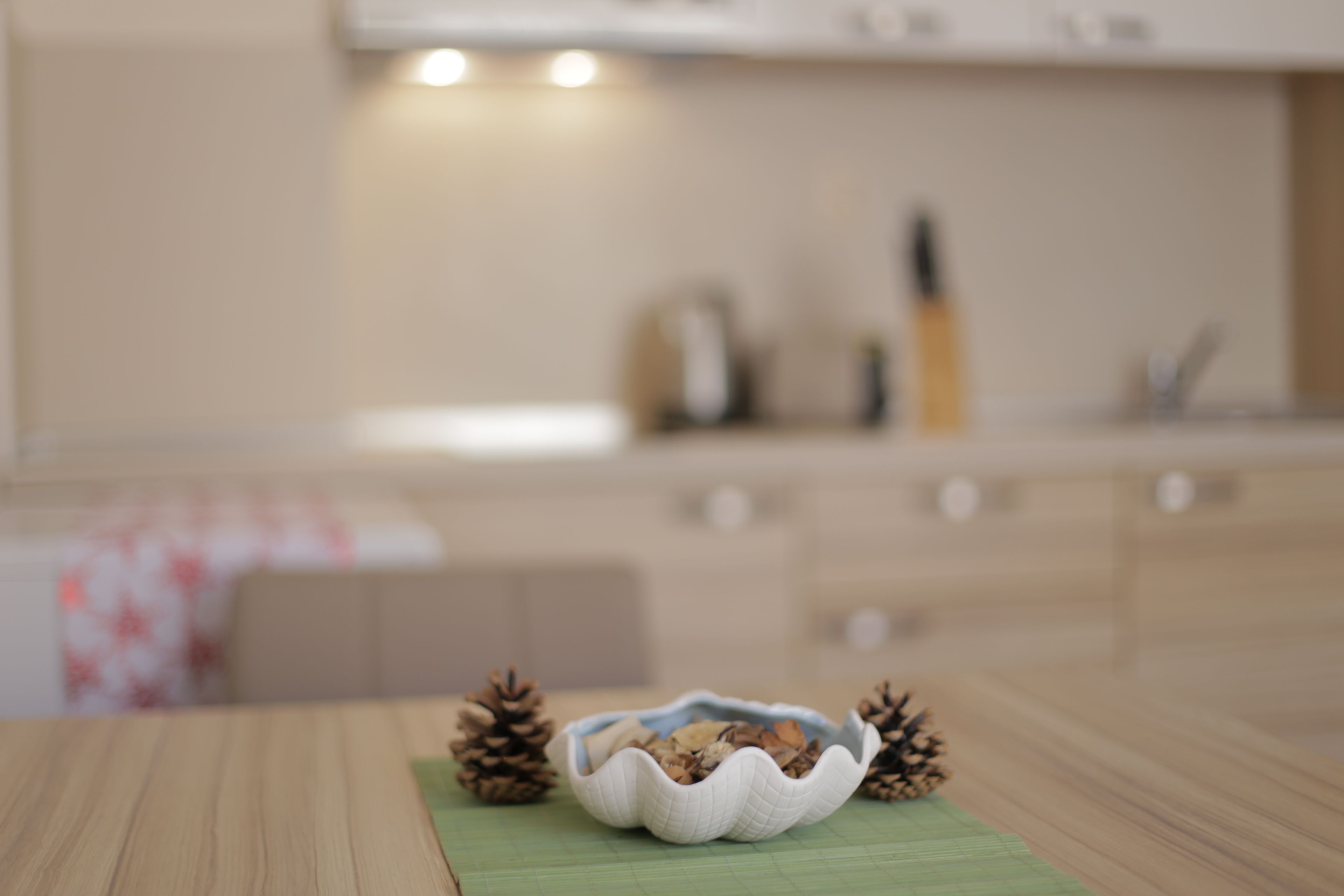 ลักซ์ชัวรี่อพาร์ทเมนท์, 1 ห้องนอน | สิ่งอำนวยความสะดวกในห้องพัก