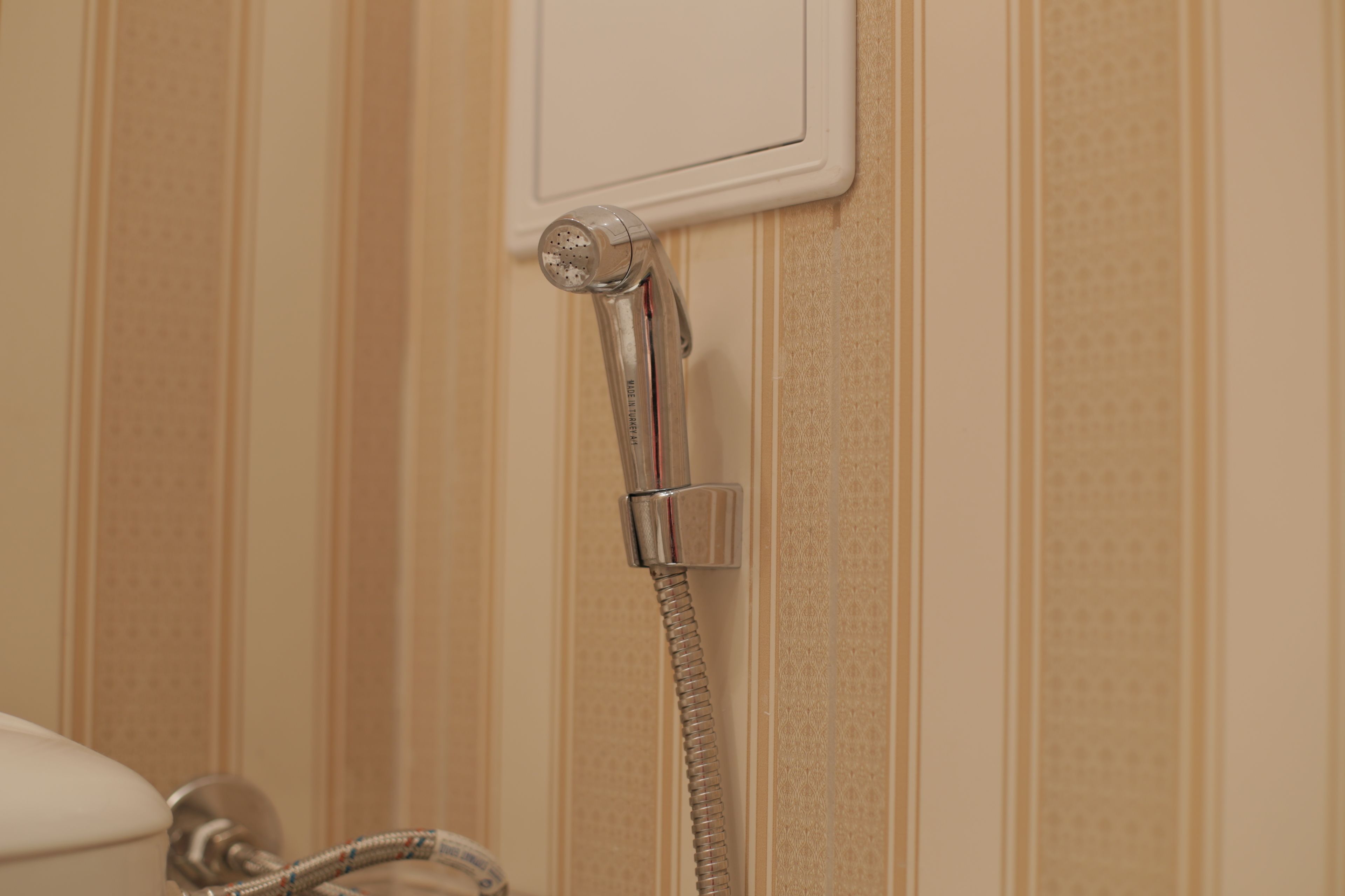 A shower head mounted on a wall with a hose.