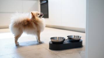 A small dog standing on a tiled floor next to a black feeding station with two metal bowls.