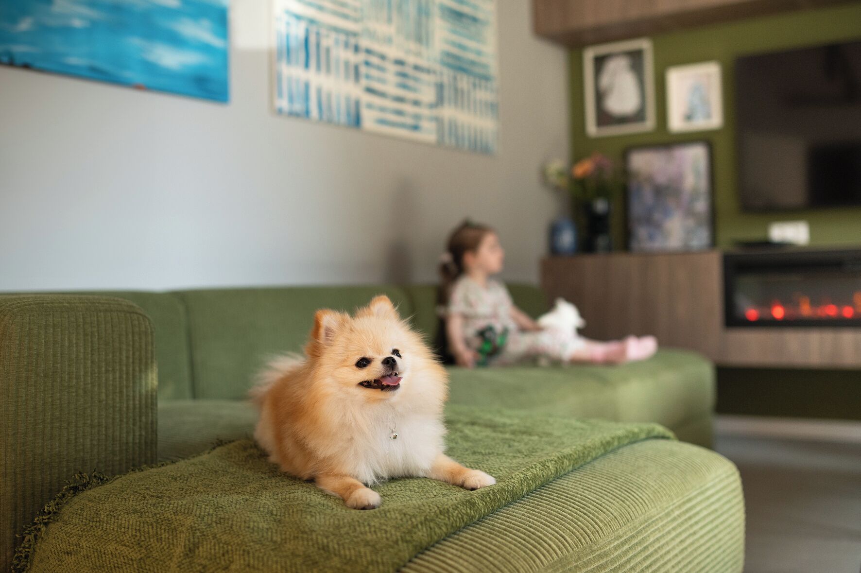 En grøn sofa i en stue, med en lille hund siddende på den.