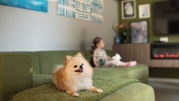 En grøn sofa i en stue, med en lille hund siddende på den.