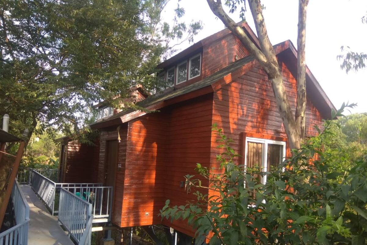 Een rode houten chalet met een balkon, omringd door bomen.