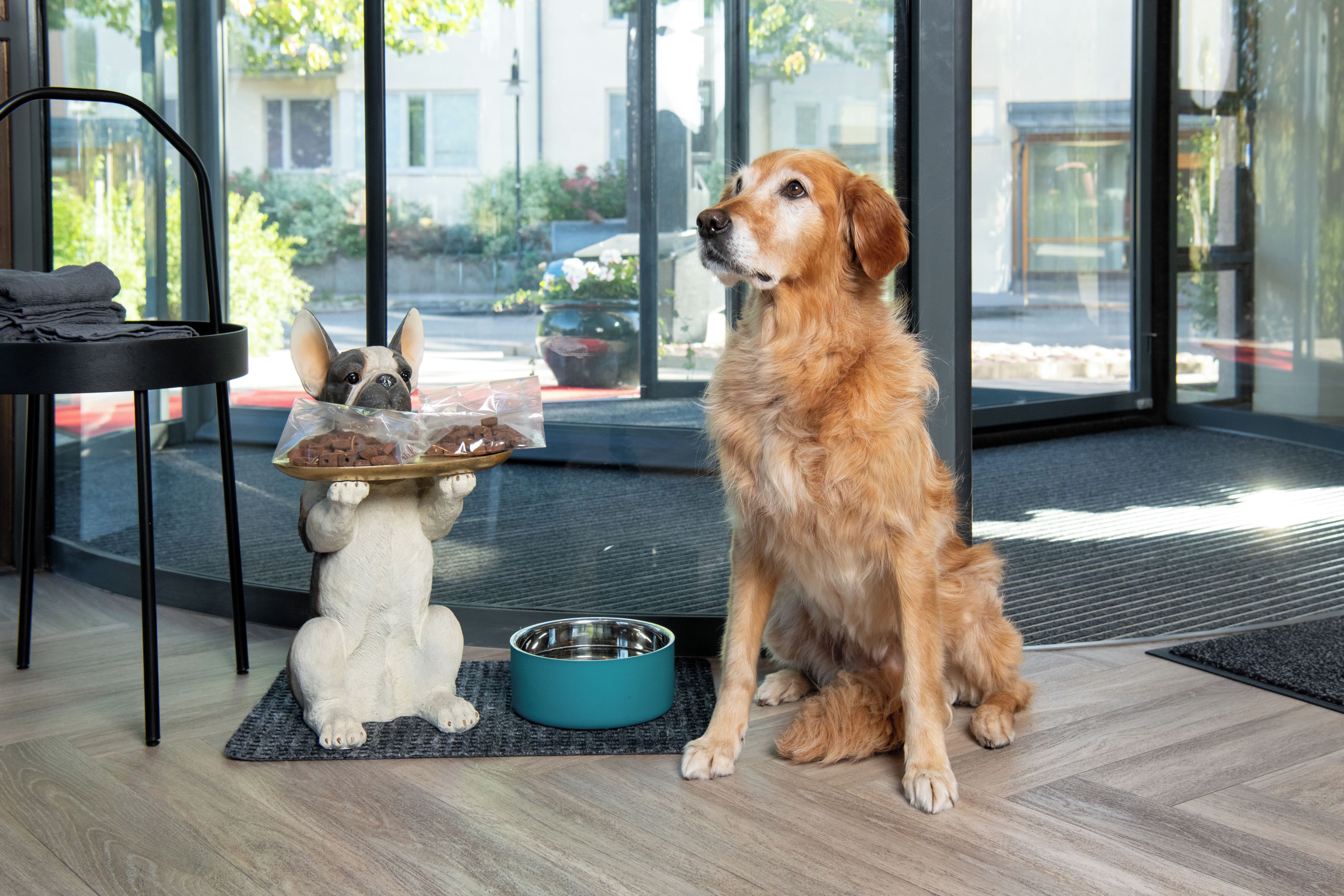 A dog sitting on a mat with a bowl and a dog figurine holding a tray of treats.
