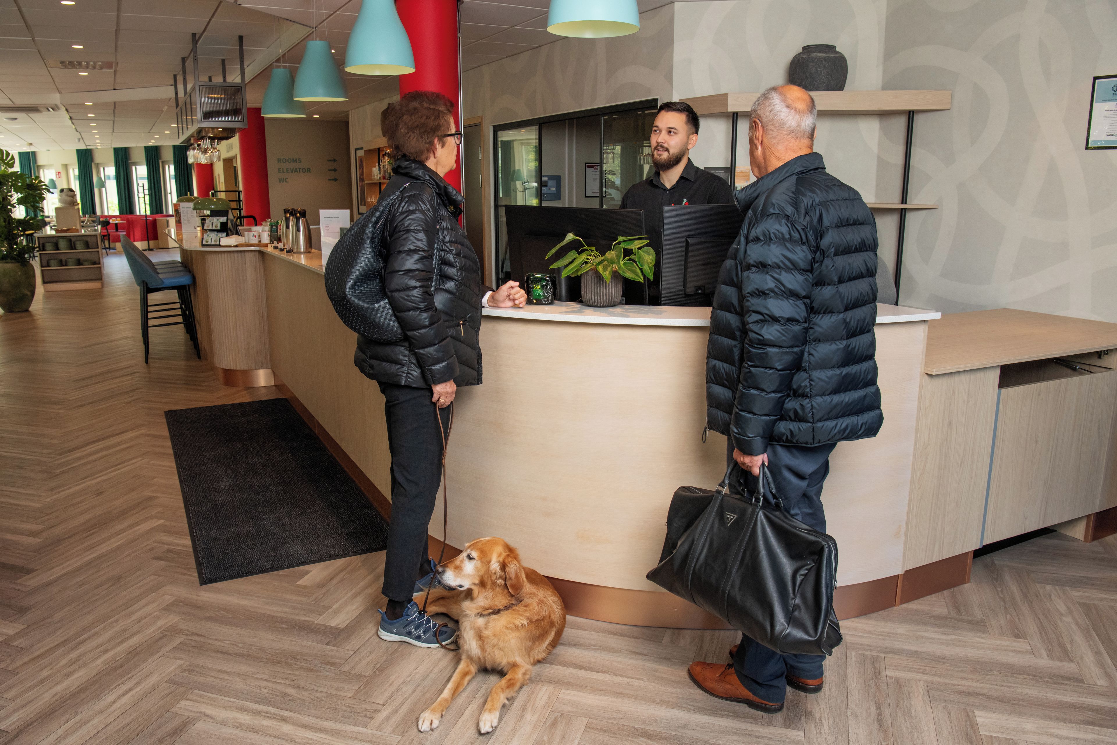 Zona de recepción de un hotel con un mostrador de madera, una planta en maceta y un perro acostado en el suelo.