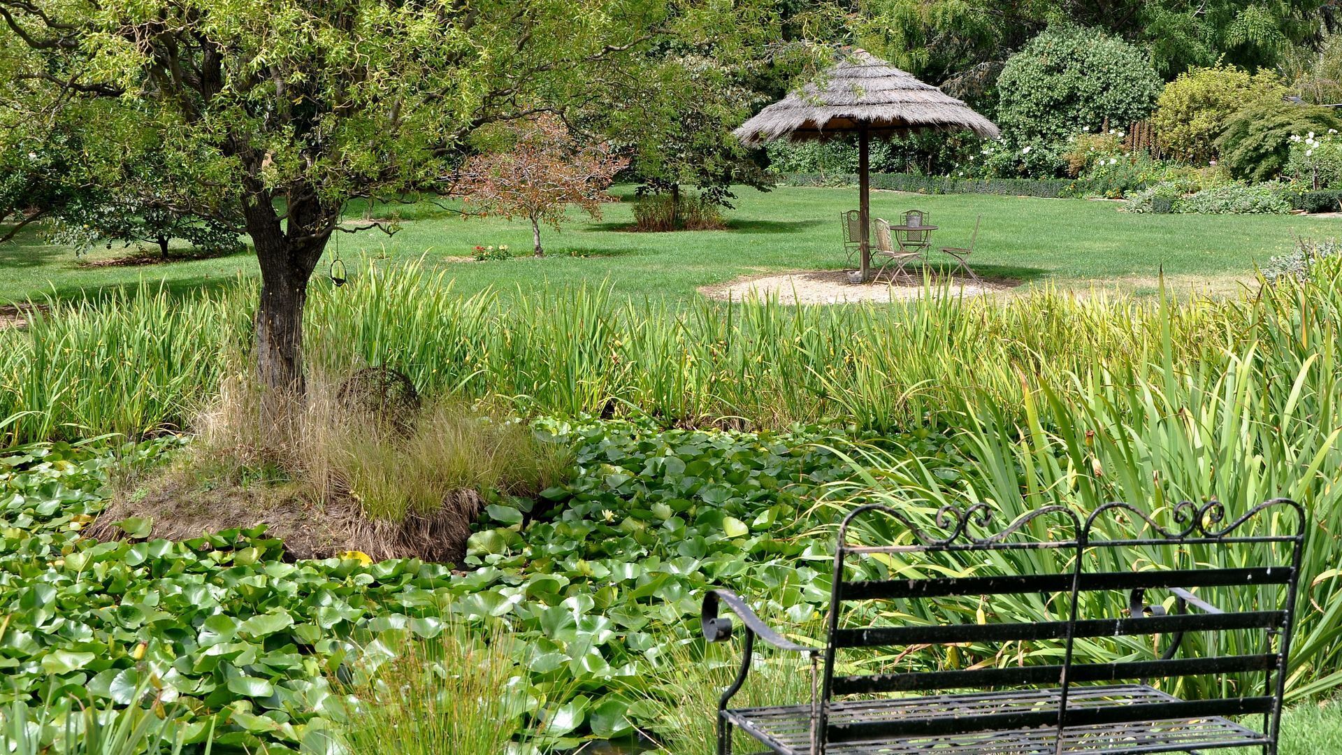 Drayshed Cottage -Romantic Country Getaway