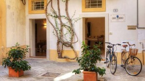 Entrada de un edificio con plantas en macetas, una bicicleta y un cartel que indica alquiler de habitaciones.