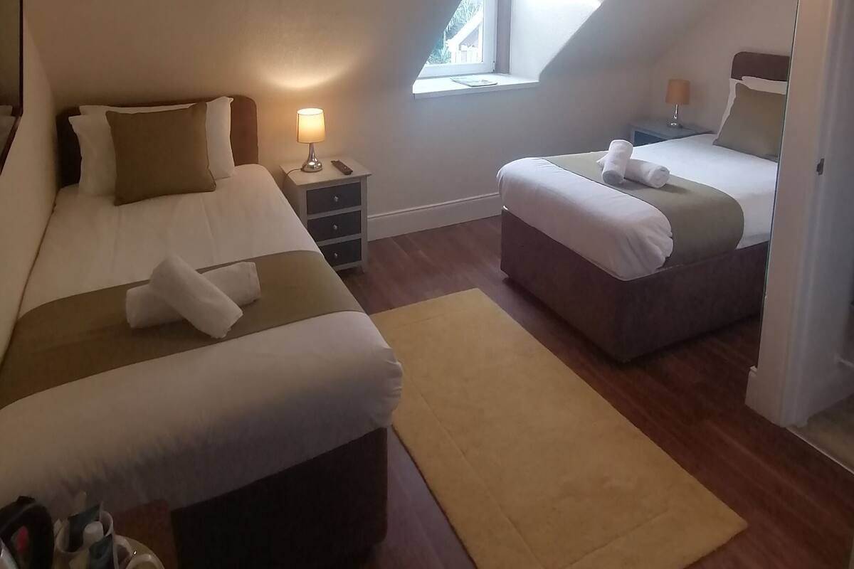 A modern bedroom with two beds, a small window, a nightstand with a lamp, and a ceiling light fixture.