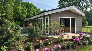 A modern house with a patio area, surrounded by a garden with pink flowers and various shrubs.