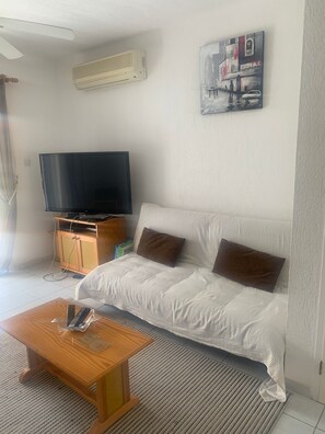 智能電視、電子遊戲、DVD 播放機、書籍