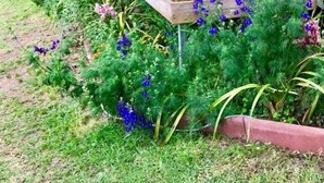 A wooden structure with planters filled with flowers and plants. - Le Guetali (Salazie)