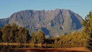A mountainous landscape with dense forest in the foreground and a clear sky. - Le Guetali (Salazie)