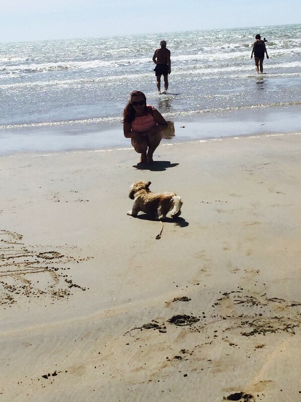 Perto da praia, serviço de traslado de/para a praia grátis