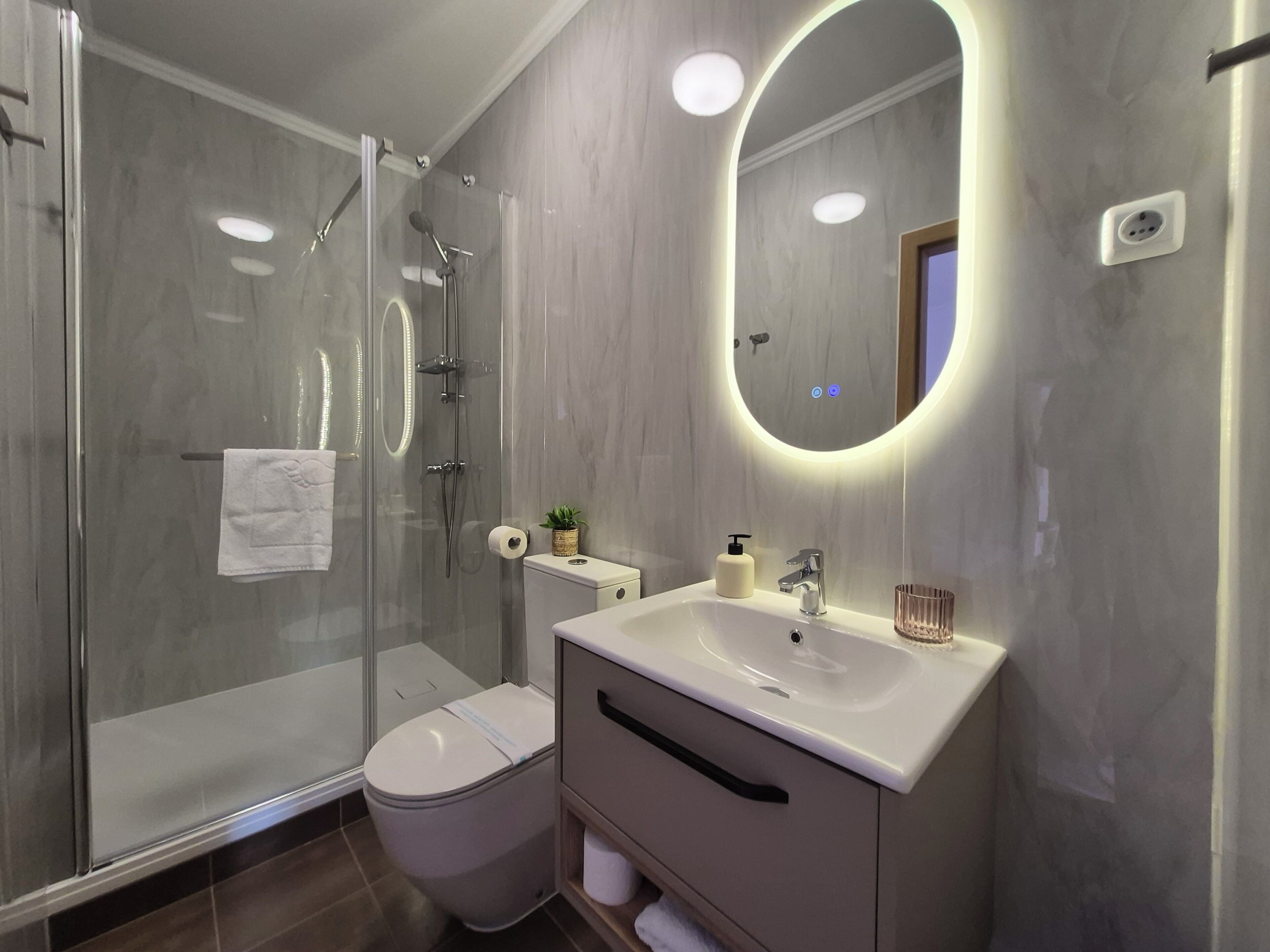 A modern bathroom with a glass-enclosed shower, a toilet, a sink with a mirror, and a small plant on the vanity.