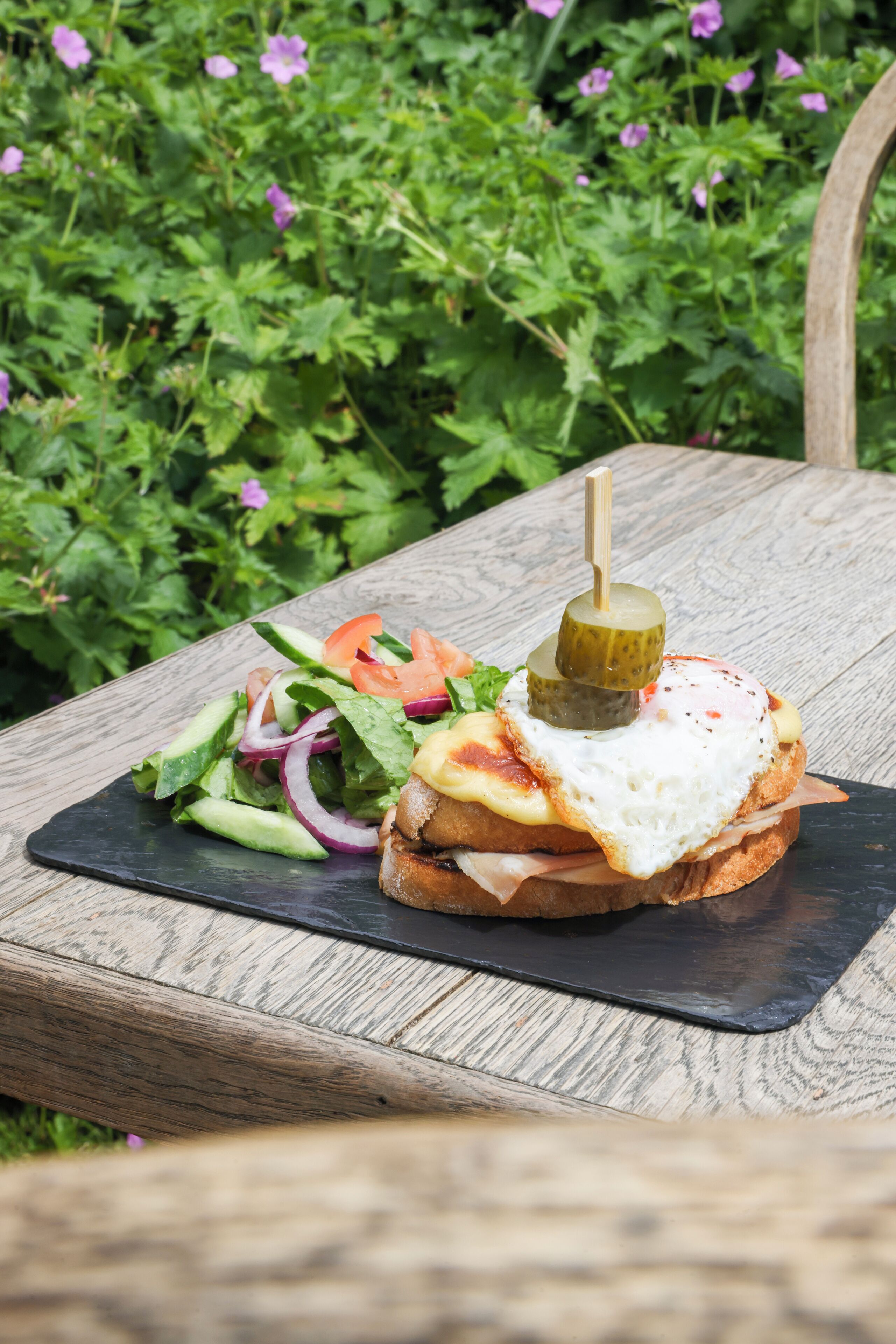 Ein Sandwich auf einer Schieferplatte mit einem Beilagensalat, draußen inmitten von Grünpflanzen serviert.