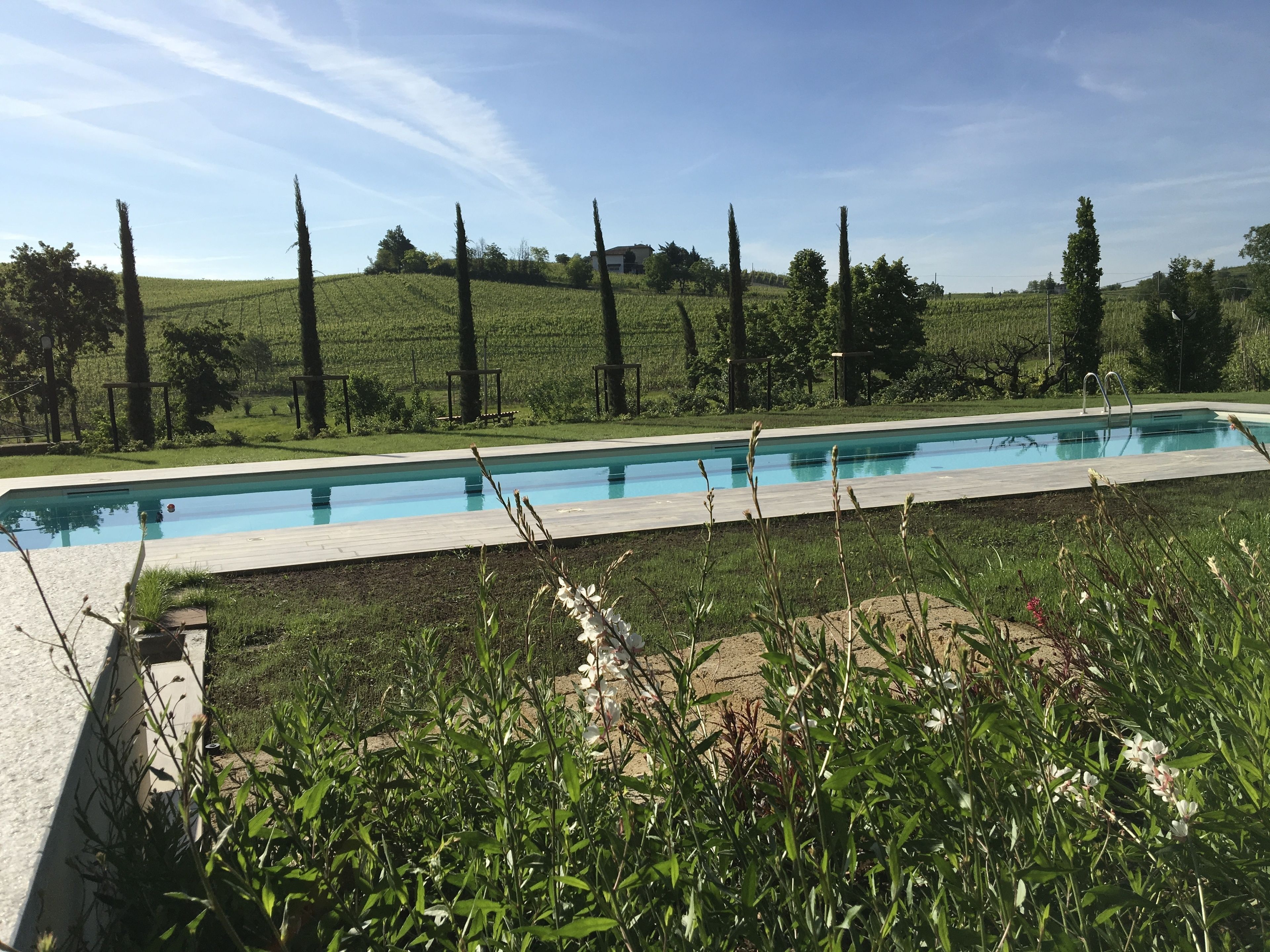 Une piscine rectangulaire dotée d’une terrasse en bois, entourée d’une végétation luxuriante et de grands arbres.