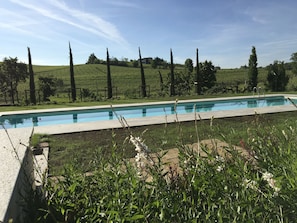 Une piscine rectangulaire dotée d’une terrasse en bois, entourée d’une végétation luxuriante et de grands arbres.
