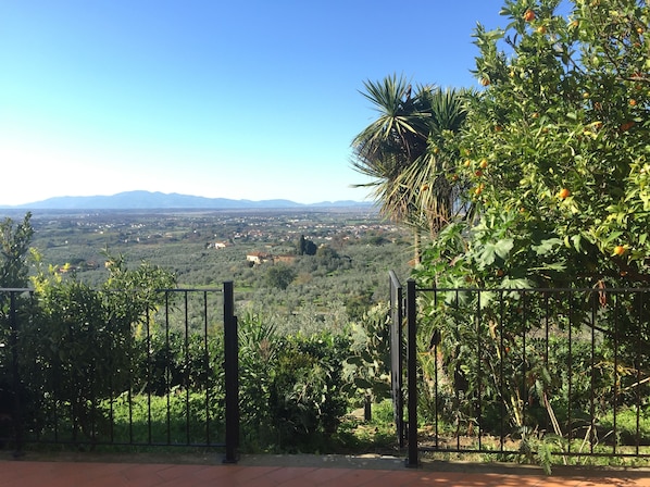 الإطلالة من المنشأة